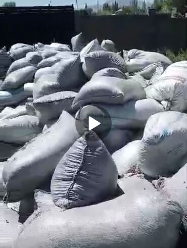 мульчирующая пленка для клубники цена: Жер семирткич издегендерге таза зыянсыз натуралдык Ко́гучкондун богу