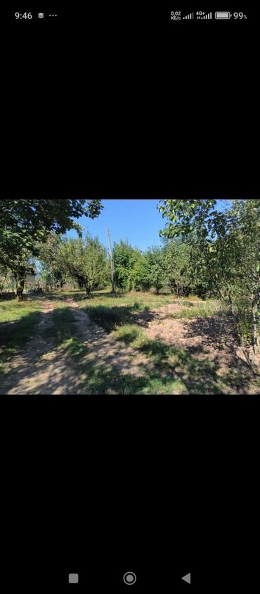 Bağ evlərinin satışı: Lənkəran rayonun Biləsər kəndinin mərkəzində Xanbulan gölünün — 3