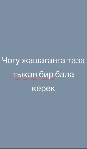 карап жашаганга квартира: 3 бөлмө, Менчик ээси, Чогуу жашоо менен, Эмерексиз