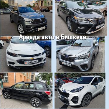 лампа для машины: Сдаю в аренду: Легковое авто, Частная аренда