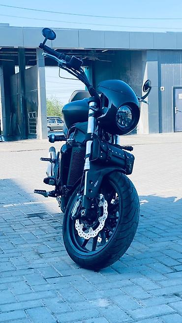 argb controller: Мотоцикл Benelli 502C (круизер/пауэр-круизер), стильный матовый «total — 2