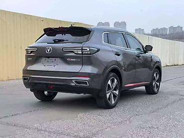 BYD: BYD Destroyer 05: 2024 г., Кроссовер — 8