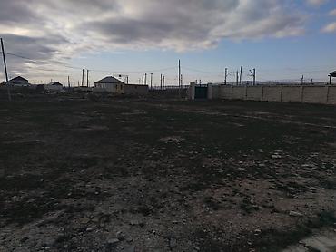 Torpaq sahələrinin satışı: Tikinti, Kupça (Çıxarış) — 4