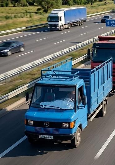 мини трактор япон: Грузовик, Mercedes-Benz, Стандарт, 3 т, Б/у — 5