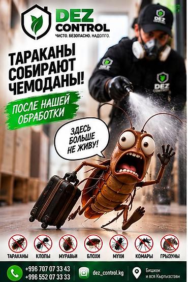 Профессиональная дезинсекция и дератизация DEZ CONTROL Что делаем: -