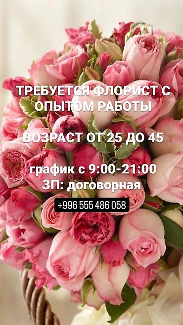 частный окулист кара балта: Другие специальности — 1
