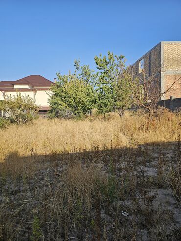 жалал абад кыз керек: 4 соток, Курулуш, Кызыл китеп, Сатып алуу-сатуу келишими