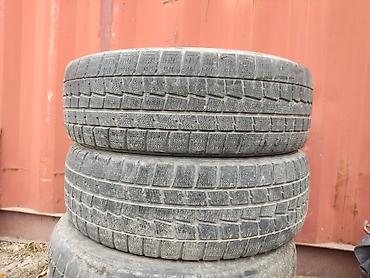 175 65 15: Шины 195 / 65 / R 15, Зима, Б/у, Комплект, Легковые, Dunlop — 2