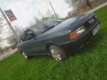 audi q 5: Audi 80: 1991 г., 1.8 л, Механика, Бензин, Седан