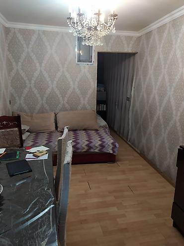 Uzunmüddətli kirayə mənzillər: Sened texpasport Qazı suyu işıgı daimi 42 nomreli marşrut qapınının — 5