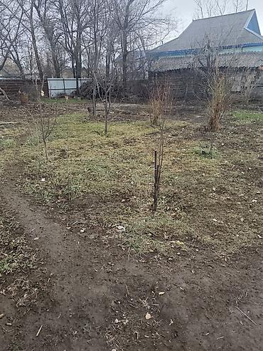 Продажа коттеджей и домов: Продается дом с участком . с.Ново Николаевка ул. Демьяна бедного 18 — 8