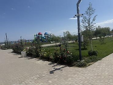 Аренда квартир на Иссык-Куле: Аренда квартиры на Иссык-Куле, Alpha White Resort, Кош-Кол, 4 места, Цена Целиком за жилье — 22