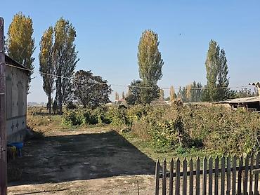 уч: 850 соток, Курулуш, Кызыл китеп — 5