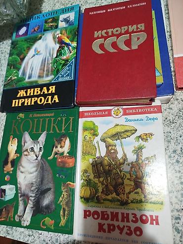 Иностранные языки: Человек и общество 5 класс.Кыргыз адабияты 5 класс. математика 5класс — 5