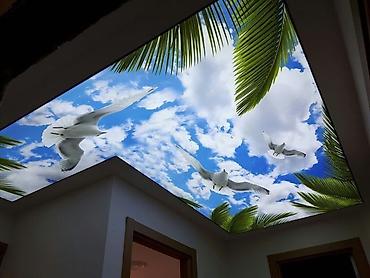 потолки пластик: Натяжной потолок Глянцевое, Матовое, 3D потолки Гарантия, Бесплатный замер, Бесплатная консультация — 2