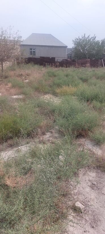 Torpaq sahələrinin satışı: 8 sot, Mülkiyyətçi, Bələdiyyə — 12