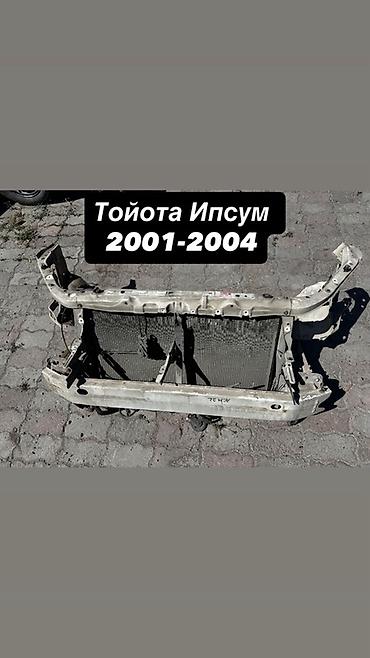 пружины ипсум: Экран крепления радиатора Toyota, Б/у, Оригинал — 1