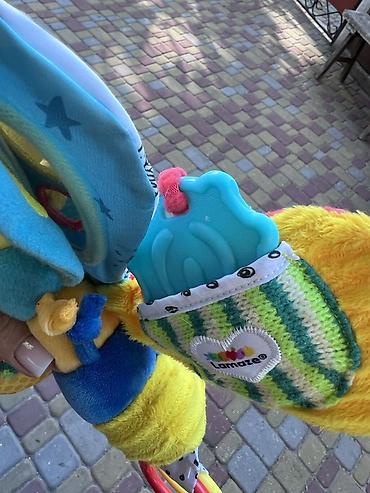 резиновые игрушки: Развивающая подвесная игрушка Lamaze «Пчёлка» для младенцев. Привезена — 3