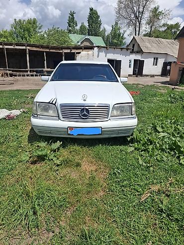 сидения ман: Mercedes-Benz S-Class: 1996 г., 3.6 л, Механика, Бензин, Седан — 1