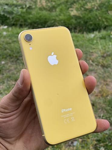 секс бишкек видео: IPhone Xr, Б/у, 64 ГБ, Желтый, Защитное стекло, Чехол, 75 % — 1