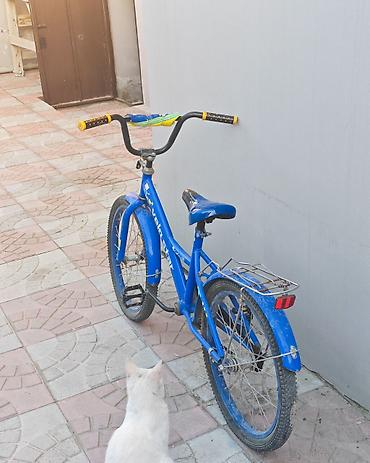 velo teker: Uşaq velosipedi – Velo Star, 20” təkər ölçüsü - Rəng: mavi, qara-sarı — 3