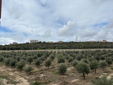 Həyət evləri və villaların satışı: 4 otaqlı, 150 kv. m, Yeni təmirli -da lalafo.az — 28 Həyət evləri və villaların satışı: 4 otaqlı, 150 kv. m, Yeni təmirli — 28