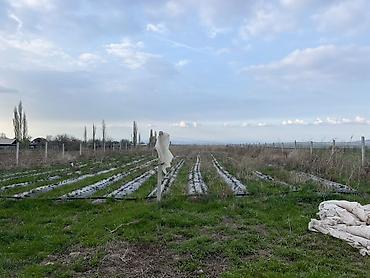 Продажа участков: 77 соток, Для бизнеса — 7