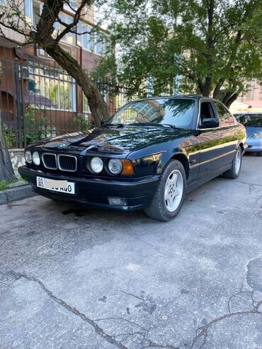 BMW: BMW 5 series: 1995 г., 1.8 л, Механика, Бензин, Седан