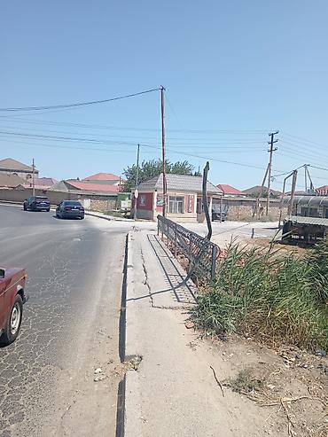 torpax: 2 sot, Mülkiyyətçi, Kupça (Çıxarış) — 3