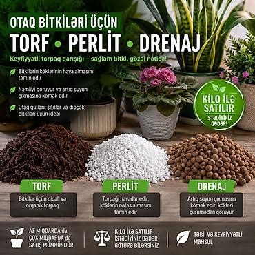 bitki dərmanları satışı: 🌿 OTAQ BİTKİLƏRİNƏ PEŞƏKAR QULLUQ XİDMƏTİ 🪴 Gülləriniz zəifləyib — 1