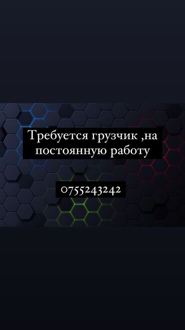 посудамойщица аламедин 1: Жүк ташуучу