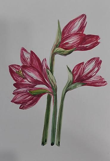 Картины: 🎅🏻🎄Новогодняя распродажа. ❤️Замечательная идея для подарка - — 6