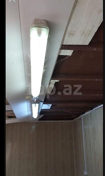 cone corse: Asagi qiymetde edecem 6*2,50 konteyner, deşiyi su buraxan yer yoxdu — 3