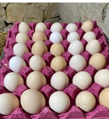 Şokolad və konfetlər: Bənövşəyi yumurta qabında təqdim olunan bu kənd yumurtaları müxtəlif