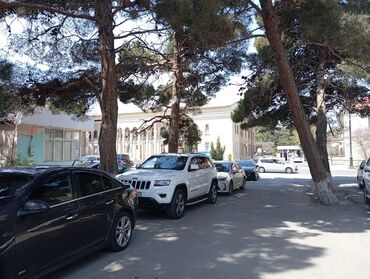 вешалки напольные для одежды деревянные дорогие: Tam işlək kişi salonu avadanlıqları və hazır iş yeri. Xüsusiyyətlər