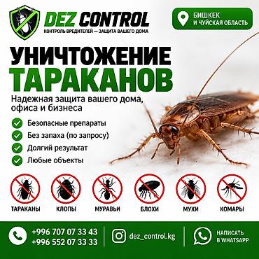 Дезинфекция, дезинсекция, | Тараканы, | Дома