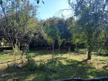 Bağ evlərinin satışı: Qax, 55 kv. m, 1 otaqlı — 5