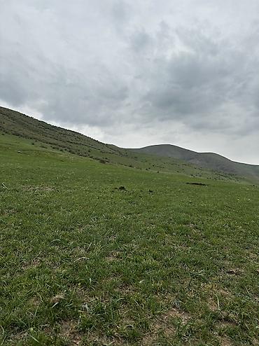 Туристические услуги: Отдых в горах с комфортом 🏔️ Уютные номера (люкс и стандарт) + сауна — 5