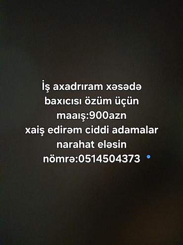 paketci teleb olunur: Xəstə baxıcısı işi axtarıram. Özüm üçün baxıcı işi. Maaş: 900 AZN — 1