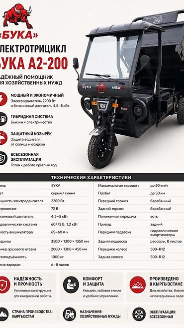 Электротрицикл Бука A2-200 — универсальный помощник для хозяйственных