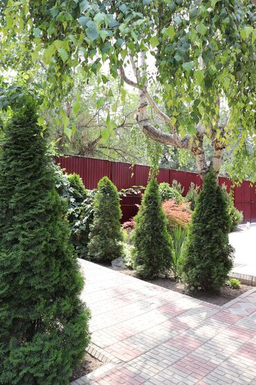 Бани, сауны, SPA: Сауна, Хамам, Баня | Пилинг, Бассейн, Массаж — 4