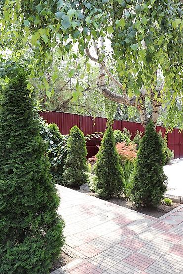 Бани, сауны, SPA: Баня, Сауна, Хамам | Массаж, Пилинг, Бассейн — 10