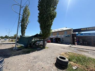 Унаа жуугучтар: Унаа жуучу жай | Кузовун жуу — 8