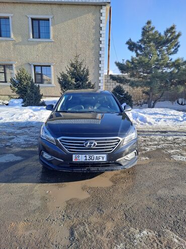 хендай hd 65: Hyundai Sonata: 2018 г., 2 л, Типтроник, Газ, Седан