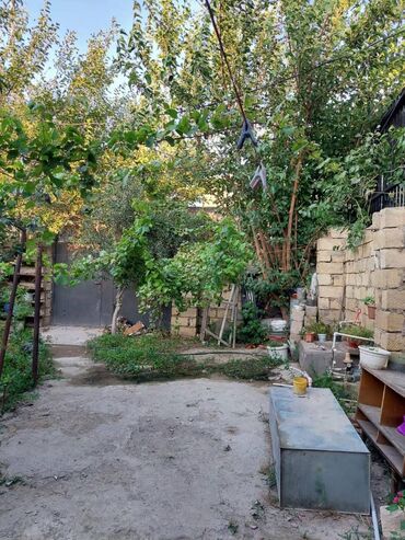 Həyət evləri və villaların satışı: Biləcəri 3 otaqlı, 75 kv. m, Kredit var, Yeni təmirli -da lalafo.az — 14 Həyət evləri və villaların satışı: Biləcəri 3 otaqlı, 75 kv. m, Kredit var, Yeni təmirli — 14