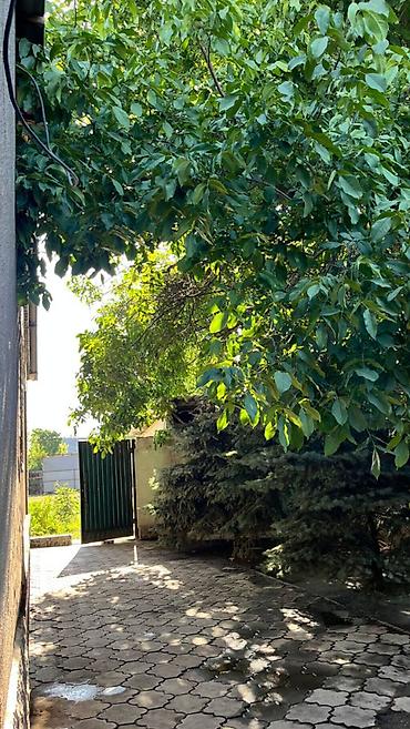 Продажа коттеджей и домов: 🏡 **Продается дом в Новопавловке!** ✨ 4 комнаты 📐 Дом — 100 м² 🌳 — 11