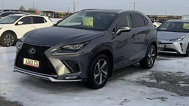 Lexus: Lexus NX: 2019 г., 2 л, Автомат, Бензин, Кроссовер — 1