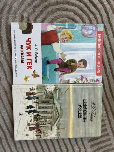 велосипедов бишкек: Две книги для внеклассного чтения: - А. П. Гайдар «Чук и Гек