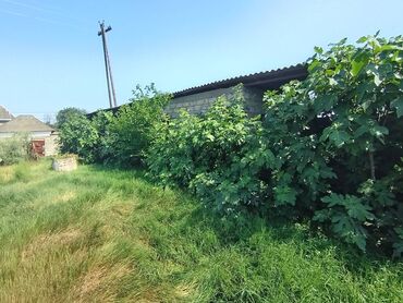 Torpaq sahələrinin satışı: 12 sot, Kupça (Çıxarış) — 5