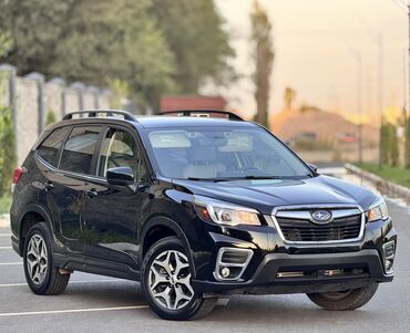 куплю автомобиля: Subaru Forester: 2019 г., 2.5 л, Вариатор, Бензин, Кроссовер